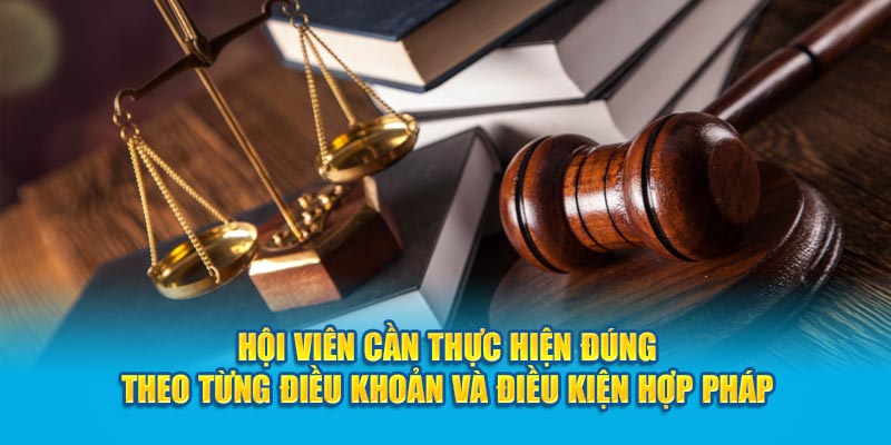 hội viên cần thực hiện đúng theo từng điều khoản và điều kiện hợp pháp